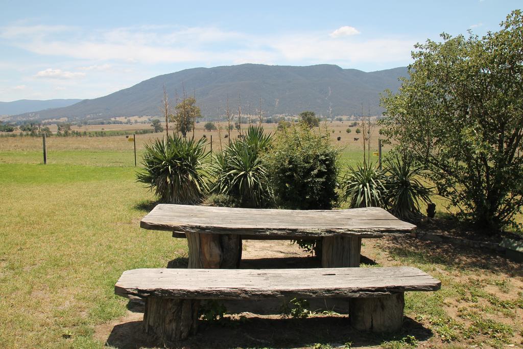 Mountain View Motel Corryong Exterior foto